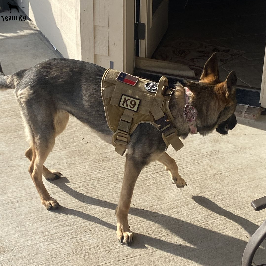 Tactical Dog Harness No-Pull With Front And Back D-Rings Quick-Release Buckles Top Handle Heavy-Duty Training