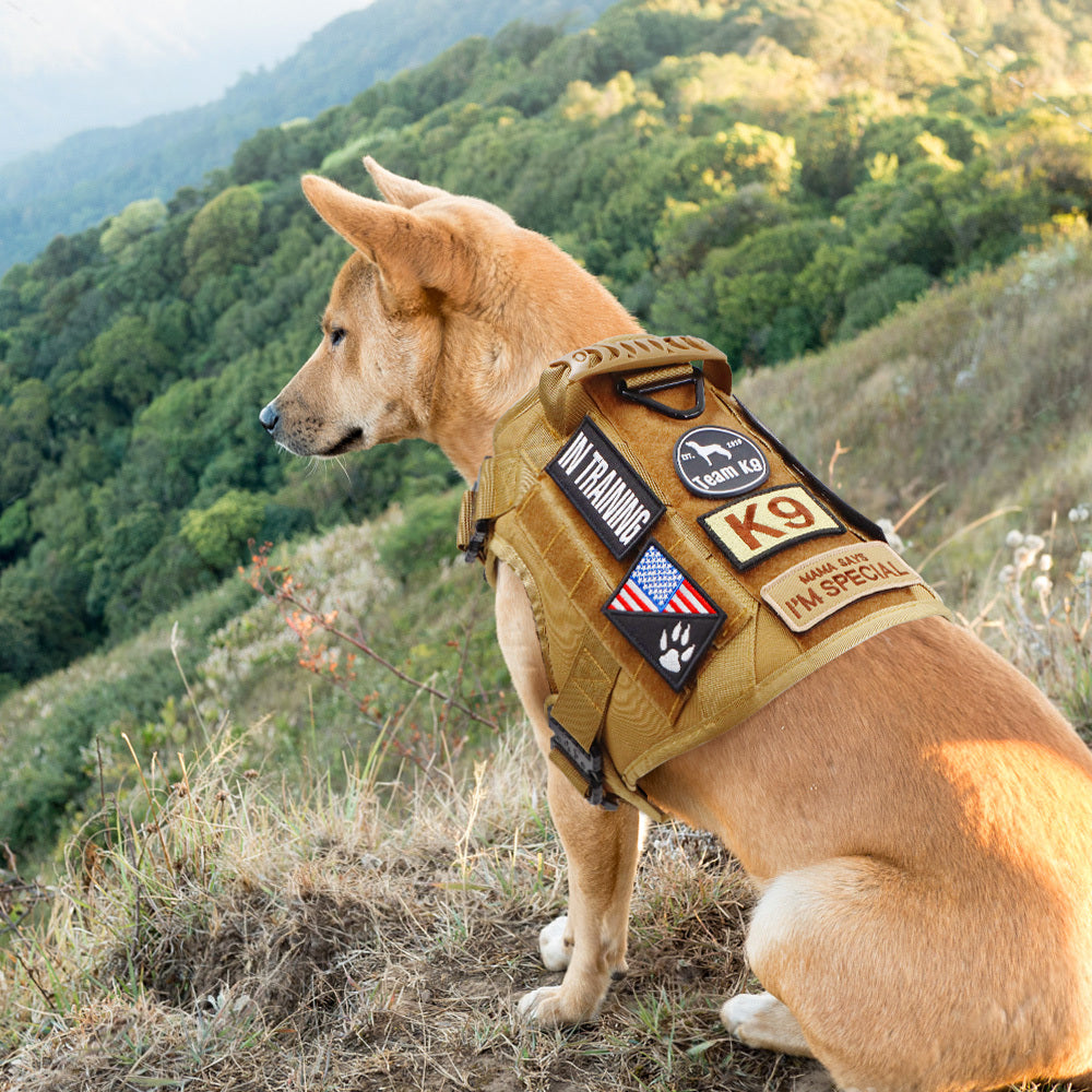 Tactical Dog Harness No-Pull With Front And Back D-Rings Quick-Release Buckles Top Handle Heavy-Duty Training