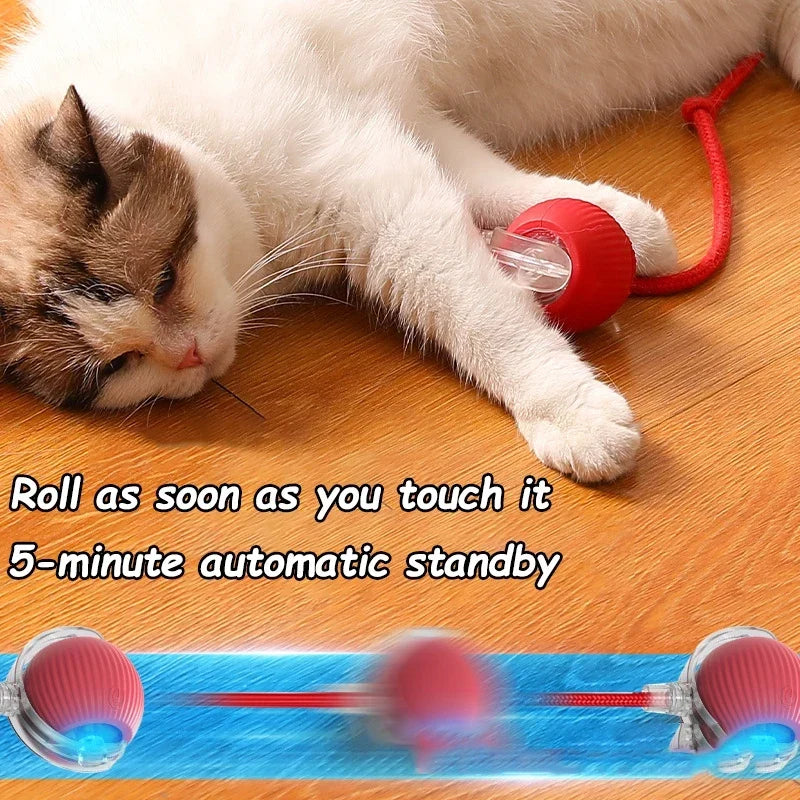 Plush Cat Interactive Ball Toy Automatic Rolling Ball - Rechargeable Smart Electric Toy for Cats and Dogs